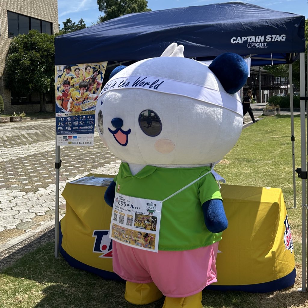 サムネイル画像