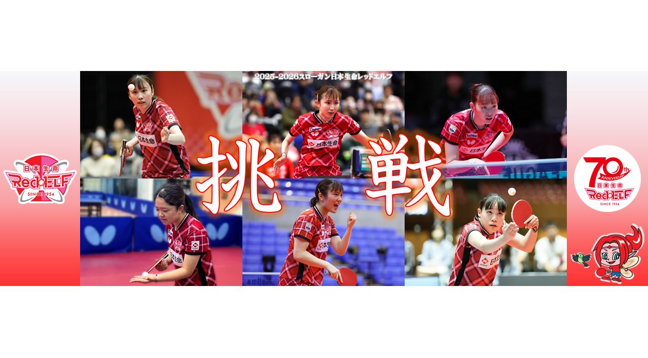 卓球　Tリーグ　日本生命レッドエルフ　早田ひな　応援タオル　2枚セット プレーオフ会場にて、日本生命レッドエルフ・早田ひな選手監修