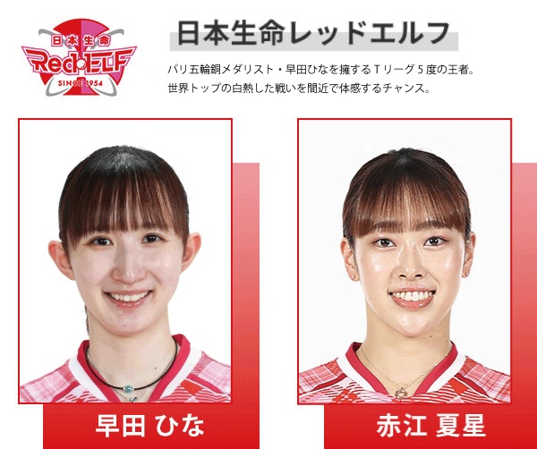 日本生命レッドエルフ